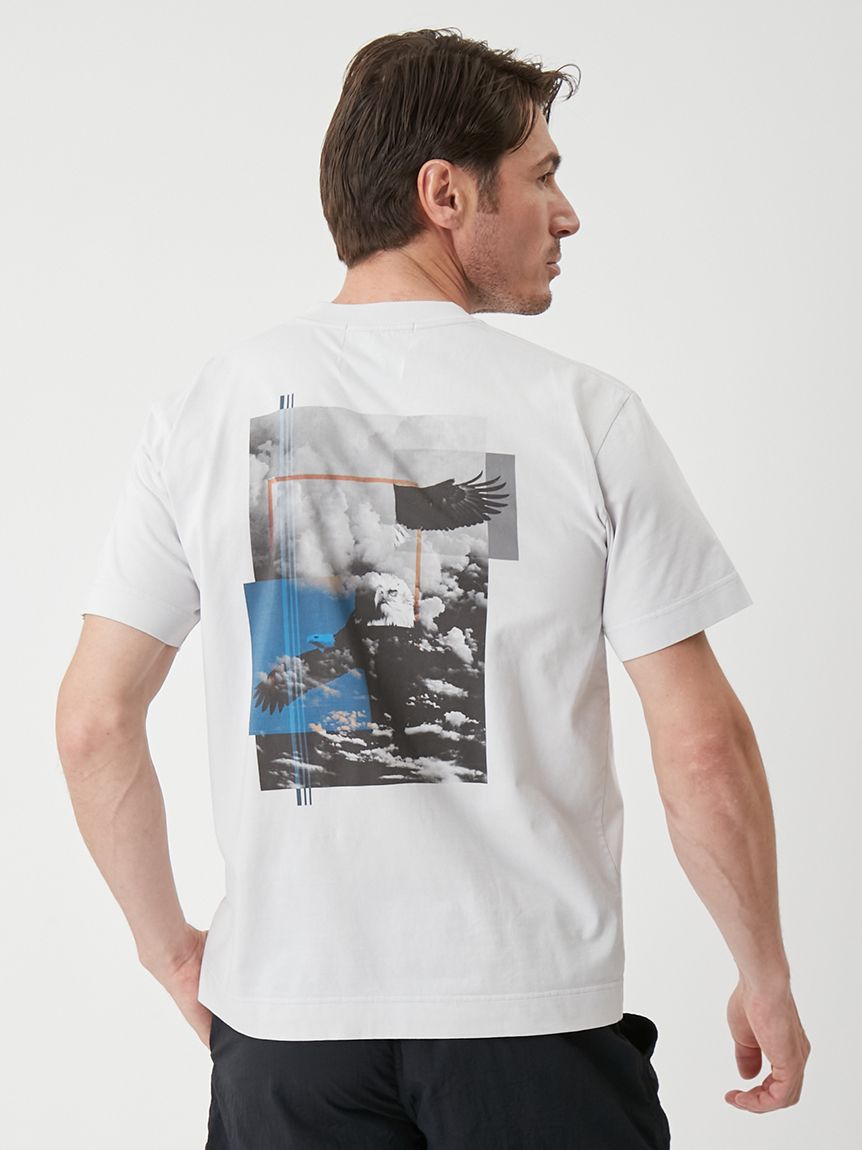 カットソー＆Tシャツ｜AOURE（アウール）の通販サイト 【公式】