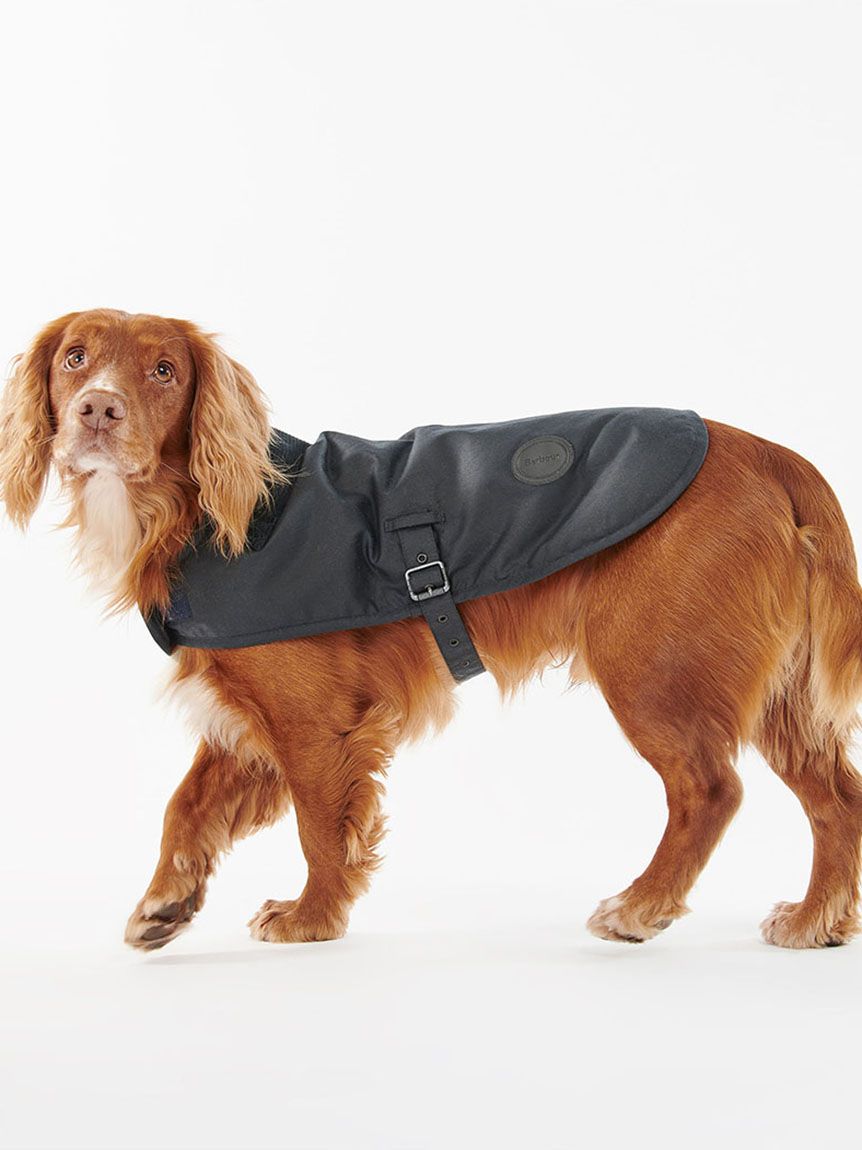 ワックスコットンドッグコート(DOGS)｜Barbour（バブアー）の通販