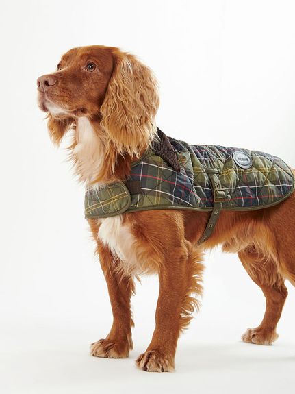 ワックスコットンドッグコート(DOGS)｜Barbour（バブアー）の通販