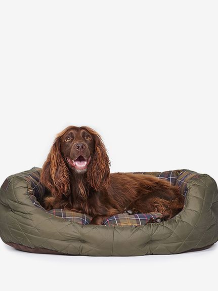 GO OUT 4月号掲載 ドッグ ブランケット L｜ドッグ雑貨｜ドッグアイテム