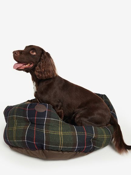 GO OUT 4月号掲載 ドッグ ブランケット L｜ドッグ雑貨｜ドッグアイテム