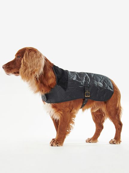 DOGS｜Barbour（バブアー）の通販サイト 【公式】