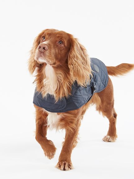 キルトドッグコート｜ドッグウェア｜ドッグアイテム｜バブアー公式