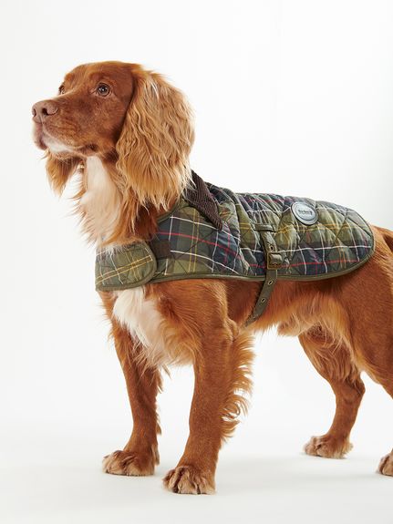 Barbour バブアー　キッズ　キルティング　XS 犬柄　チェック　レア Barbour バブアー キッズ キルティング XS 犬柄 チェック レア
