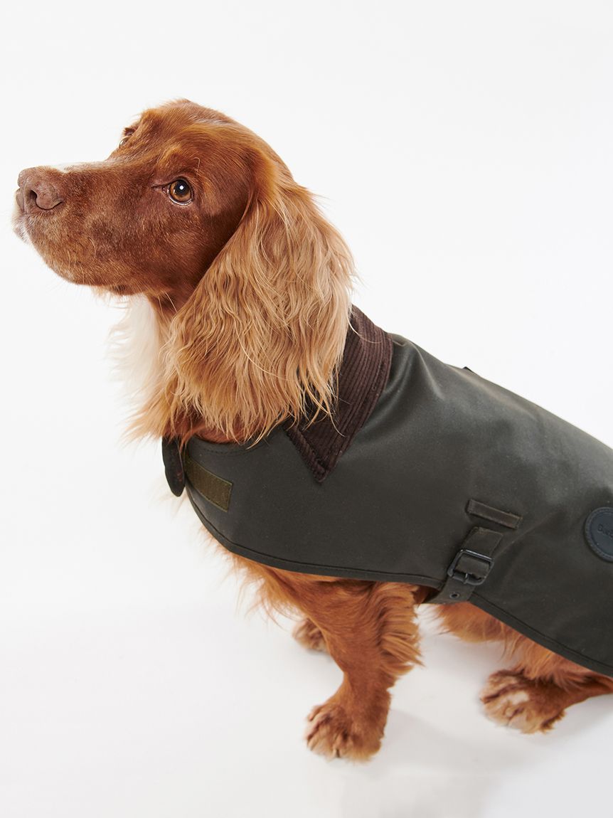 犬服・アクセサリー barbour wax dogs coat ワックス コットン ドッグ コート｜ドッグウェア｜ドッグ