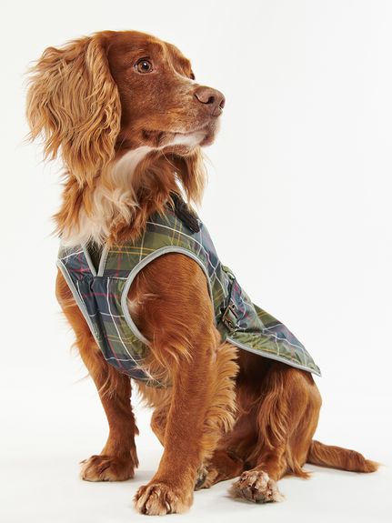 新品Barbour バブアー ドッグキルティングコート タータンチェックS Barbour メール便送料無料 BARBOUR バブアー タータンキルト