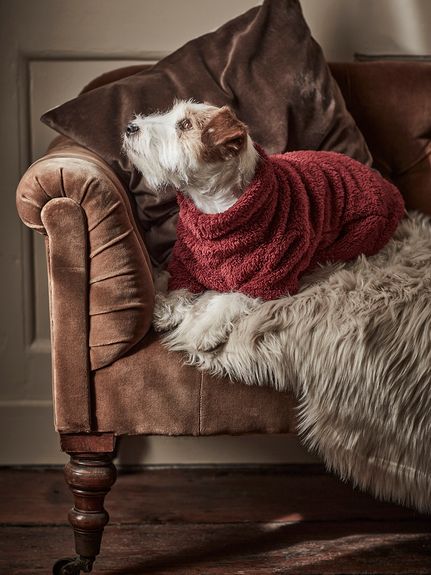 楽天市場】BARBOUR バブアー タータンキルト ドッグコート 犬用