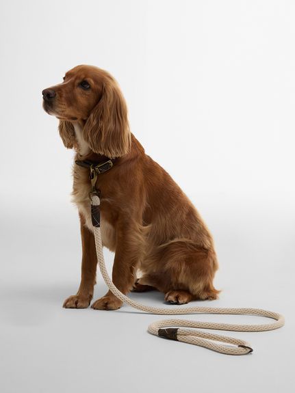 ロープ ドッグ リード｜ドッグ雑貨｜ドッグアイテム｜バブアー公式