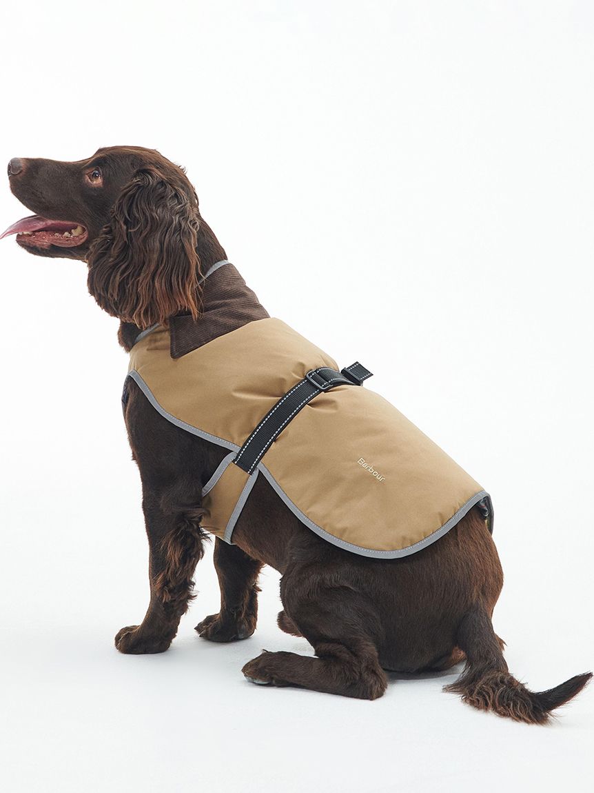 NEW BURBERRY LONDON Dog Jacket Coat Wear Nova Check Beige 14