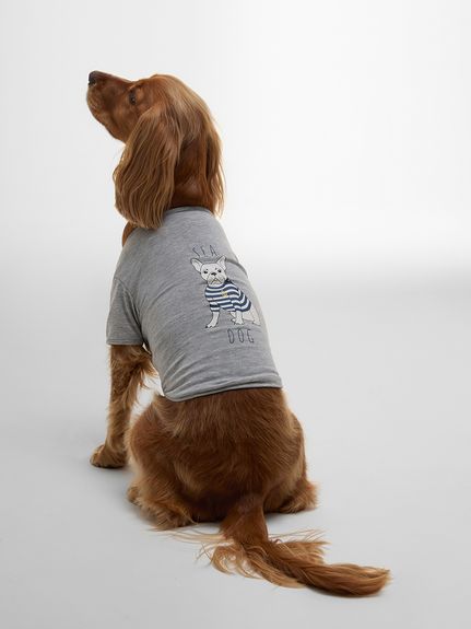 ドッグウェアの商品一覧｜バブアー公式オンラインストア（Barbour）