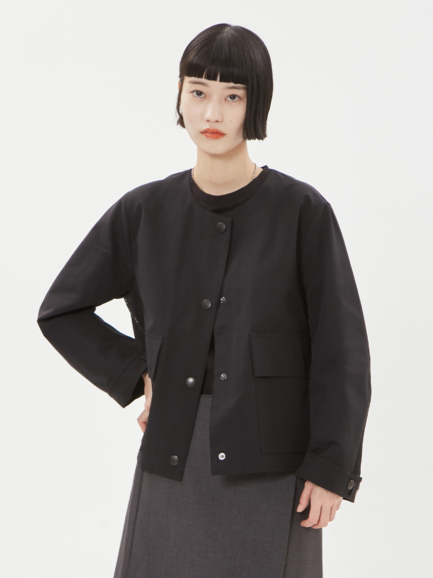 JAPAN LIMITED