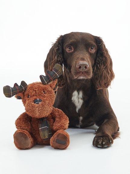 ドッグアイテムの商品一覧｜バブアー公式オンラインストア（Barbour）