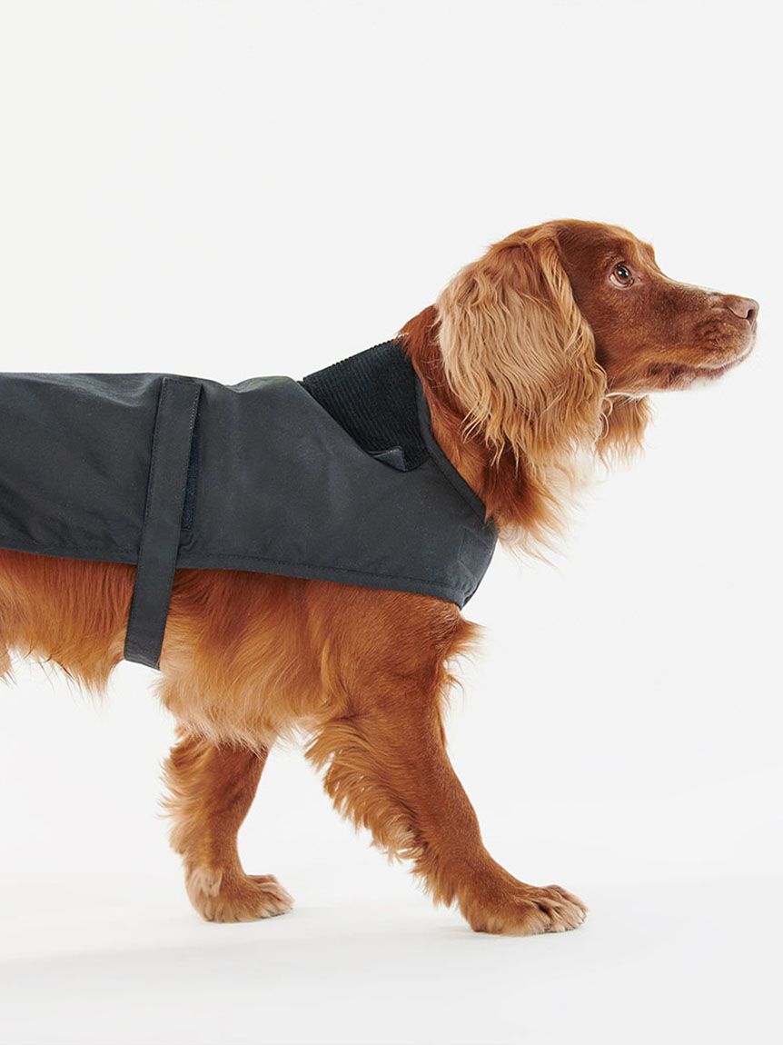 ワックスコットンドッグコート(DOGS)｜Barbour（バブアー）の通販