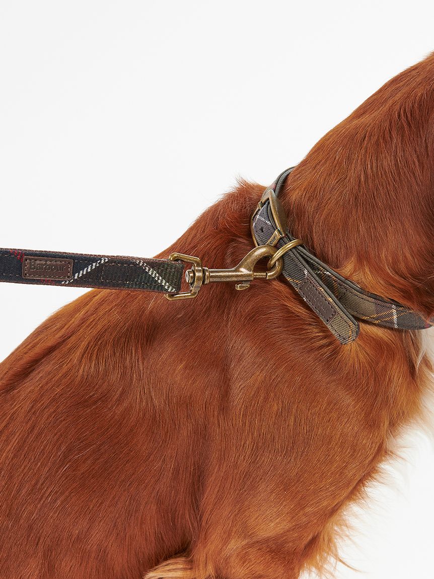 バブアー　ブラウン レザー チェック柄 首輪リードセット バブアー ブラウン レザー チェック柄 首輪リードセット 楽天市場