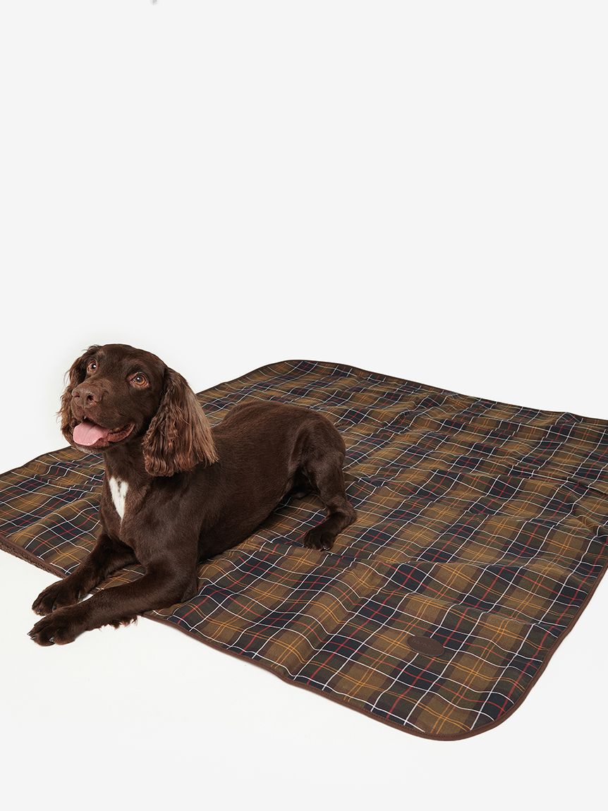 GO OUT 4月号掲載 ドッグ ブランケット L｜ドッグ雑貨｜ドッグアイテム