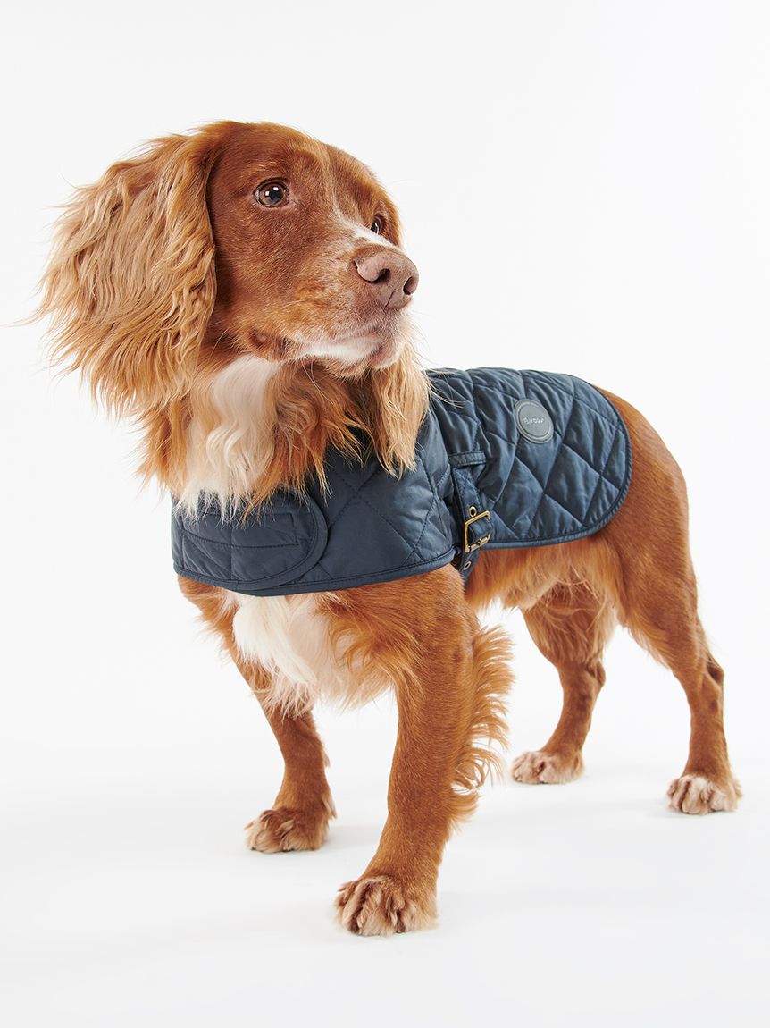 barbour犬用ブラックキルティングコート 楽天市場】BARBOUR バブアー 犬用コート キルティング ドッグ