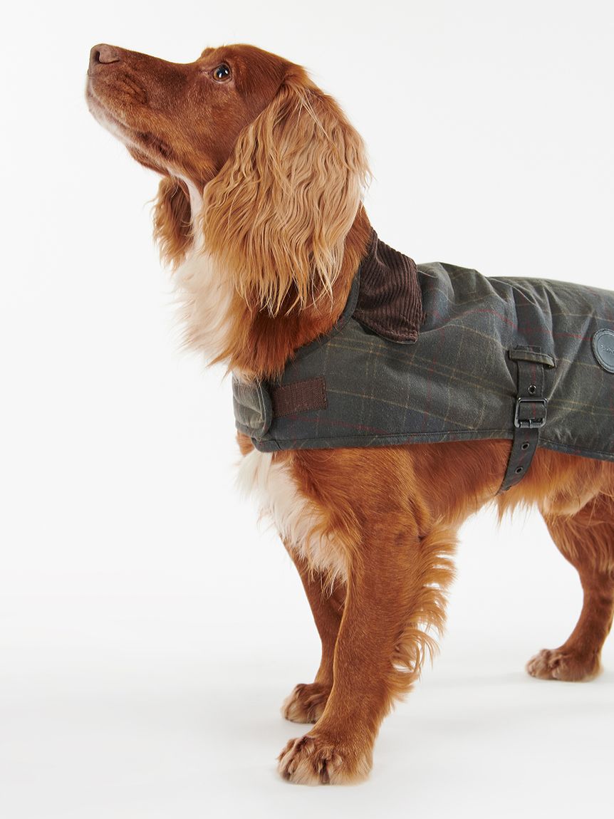 タータンチェック ワックス コットン ドッグ コート(DOGS)｜Barbour 