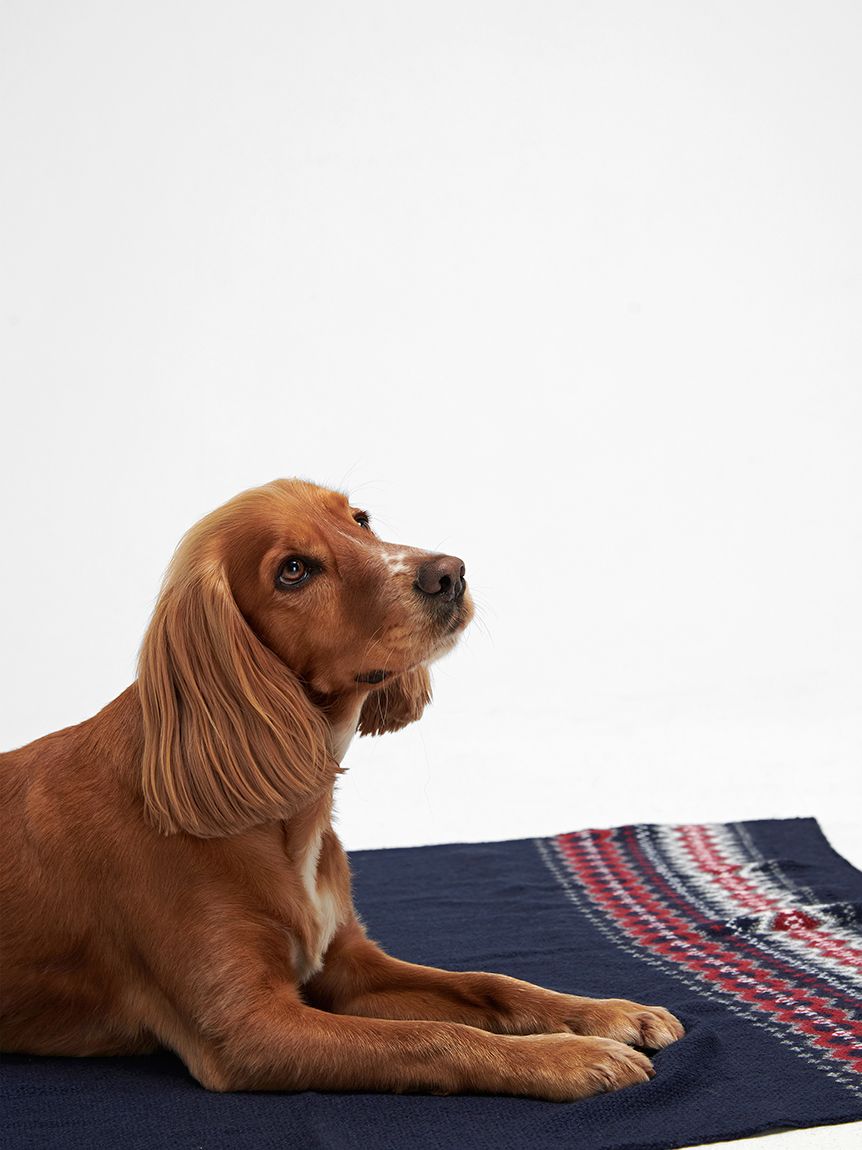 【最終値下げ】Barbour別注DON 34 ブラック 最終値下げ】Barbour別注SNOWDON 34 ブラック 別注 SNOWDON