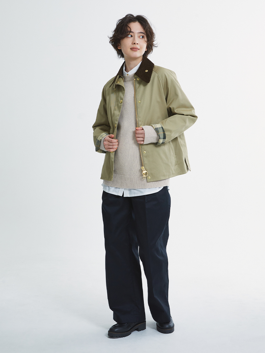 JAPAN LIMITED