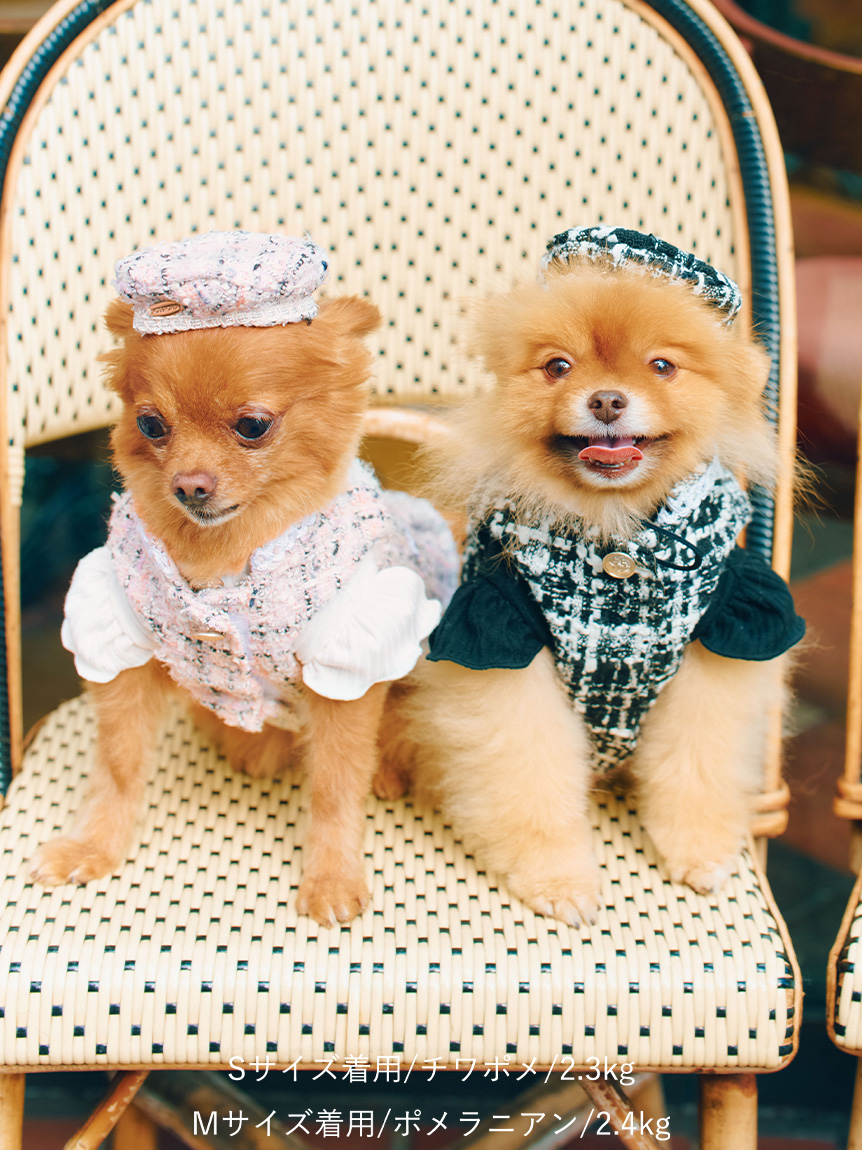 DOG&CAT】ツイードドッキングカットワンピース(ウェア)｜PET｜CELFORD