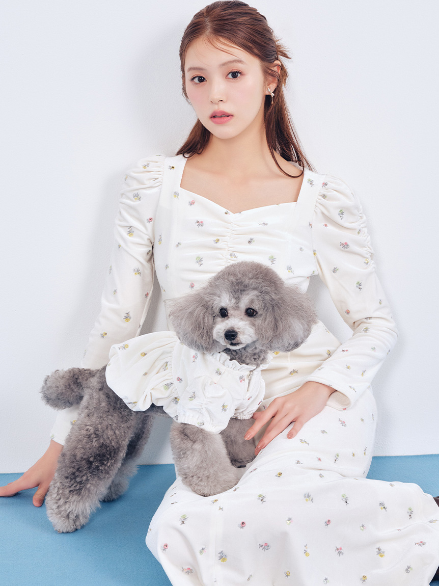 洗える】【DOG&CAT】小花刺繍ベロアワンピース(ウェア)｜PET｜CELFORD