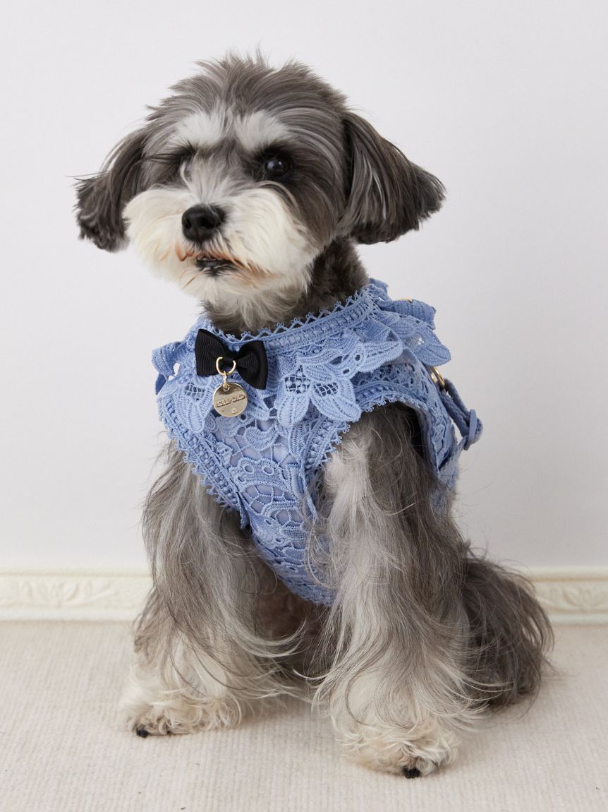ハーネス・リード・首輪｜CELFORD（セルフォード）の通販サイト【公式】