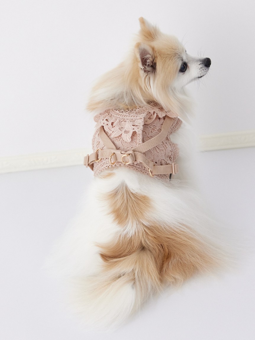DOG&CAT】レースハーネス(ハーネス・リード・首輪)｜PET｜CELFORD