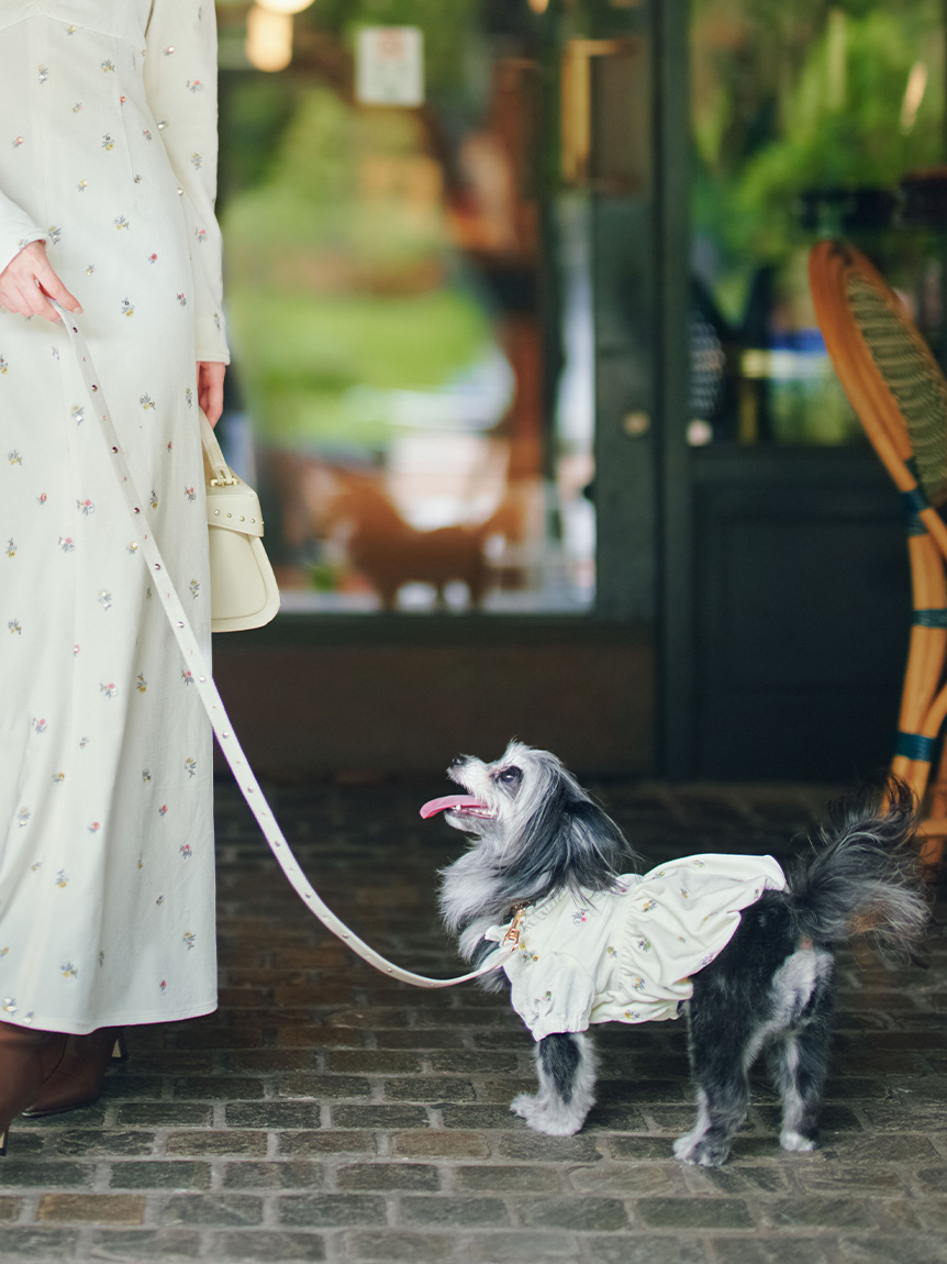 DOG&CAT】【リュタン】ビジュースタッズリード(ハーネス・リード・首輪