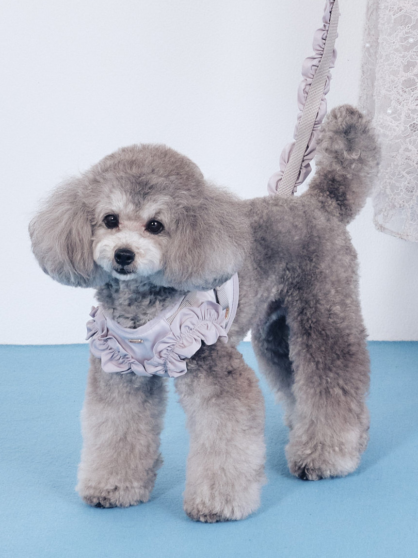 DOG&CAT】フリルトリミングハーネス(ハーネス・リード・首輪)｜PET