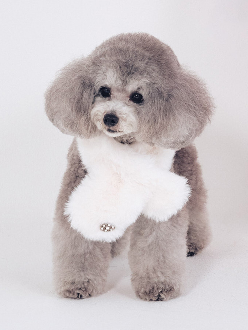 DOG&CAT】ビジュー付きファーティペット(その他グッズ)｜PET｜CELFORD