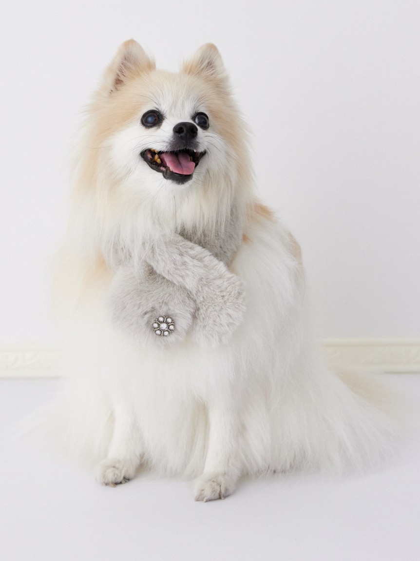 DOG&CAT】ビジュー付きファーティペット(その他グッズ)｜PET｜CELFORD