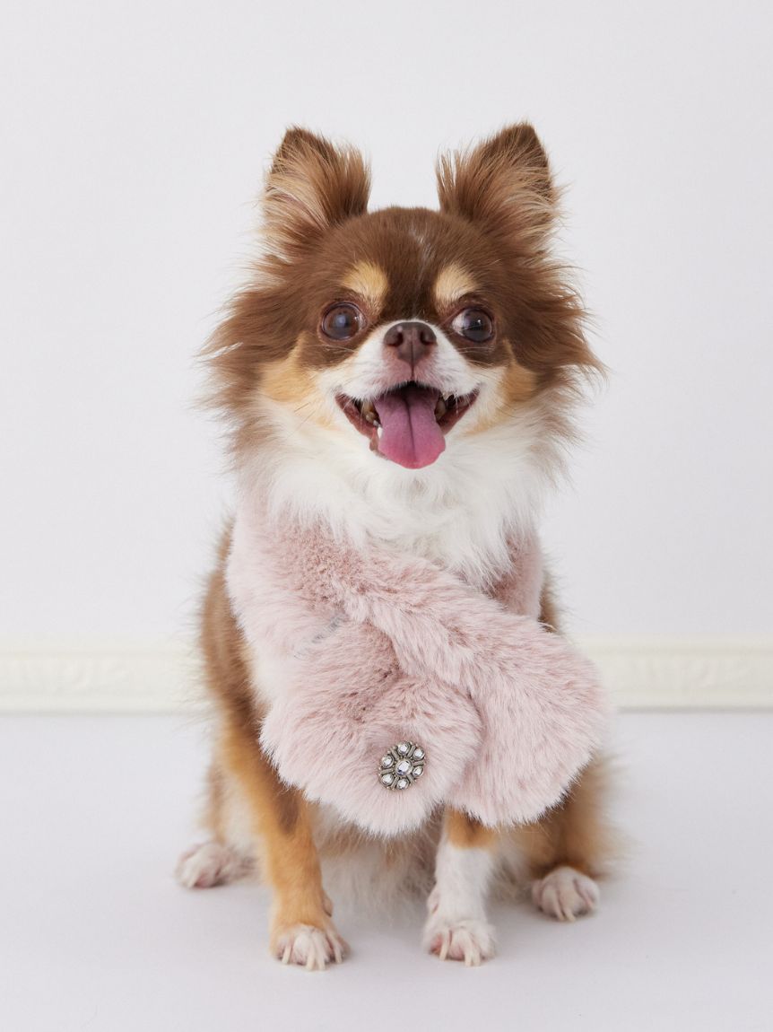 DOG&CAT】ビジュー付きファーティペット(その他グッズ)｜PET｜CELFORD