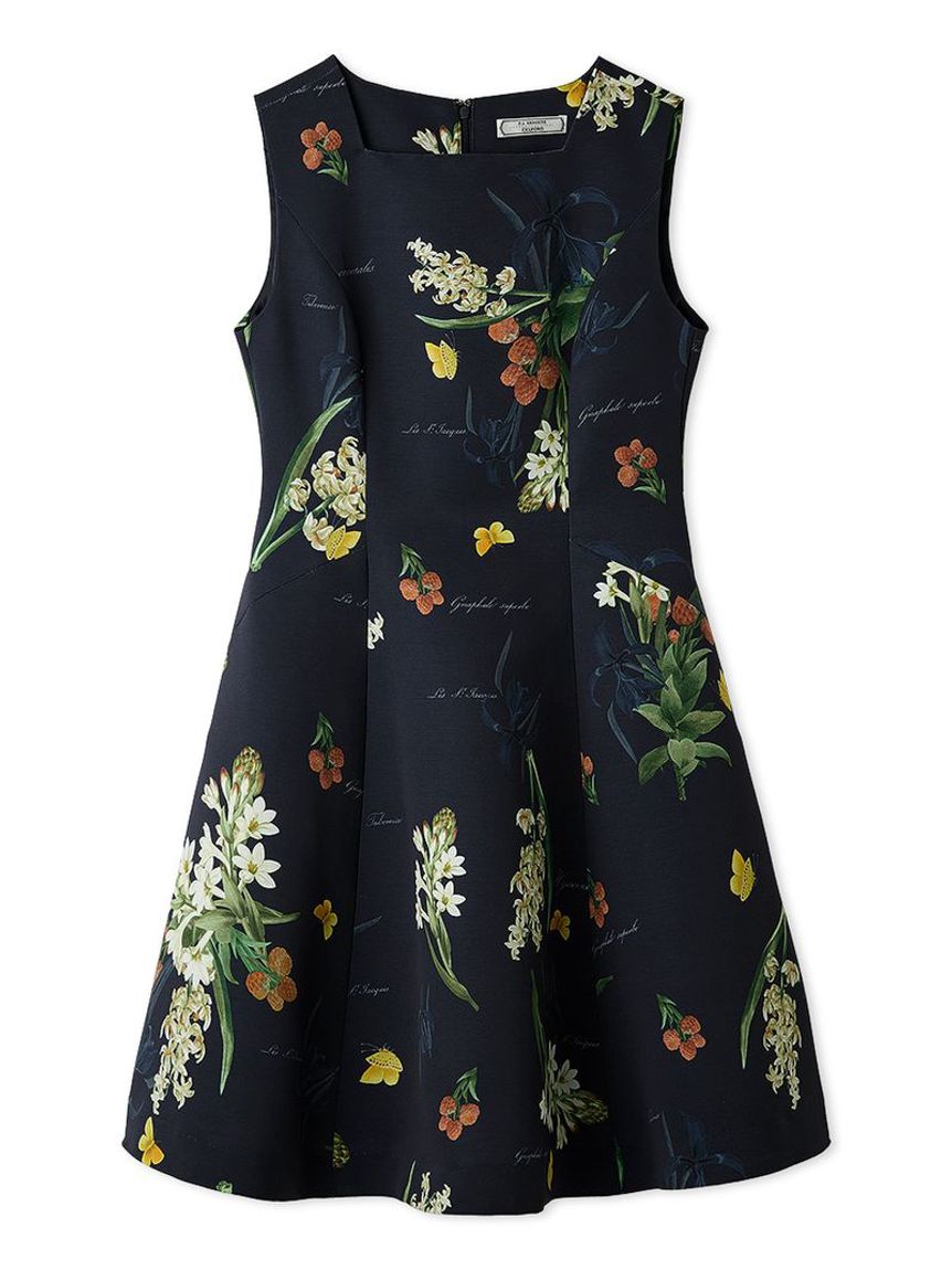 【新品】CELFORDパーティードレス 36 Aライン CELFORD×P.J. REDOUTEコラボ】ミニドレス(デイリーワンピース)｜DRESS
