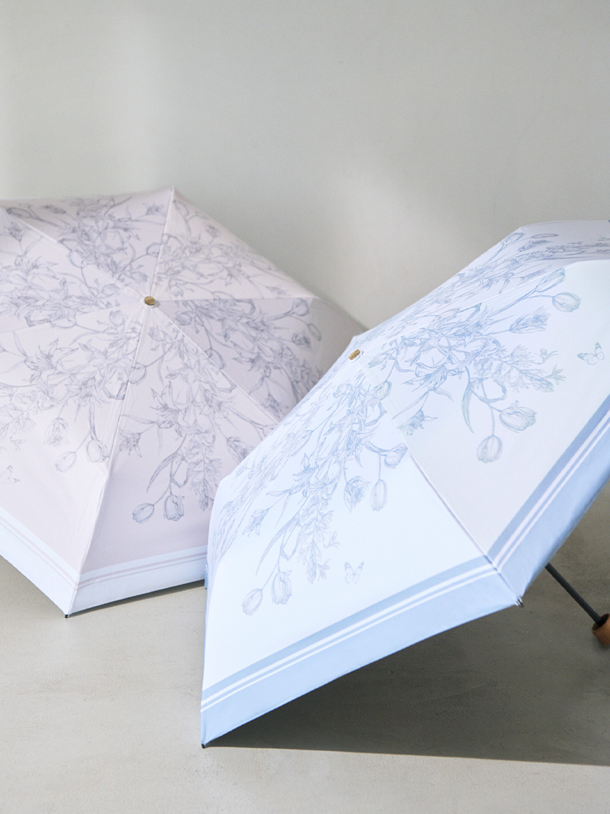 コルザ？ シンコール | AZ8457 | 2025 abita