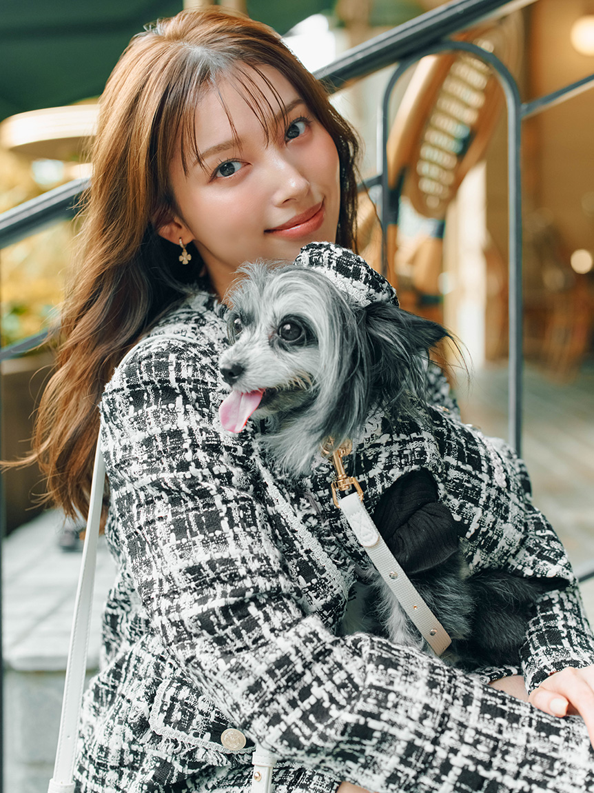 CELFORDセルフォード ファンシーツイード DOG&CAT】ファンシーツイードジレ(ウェア)｜PET｜CELFORD（セル