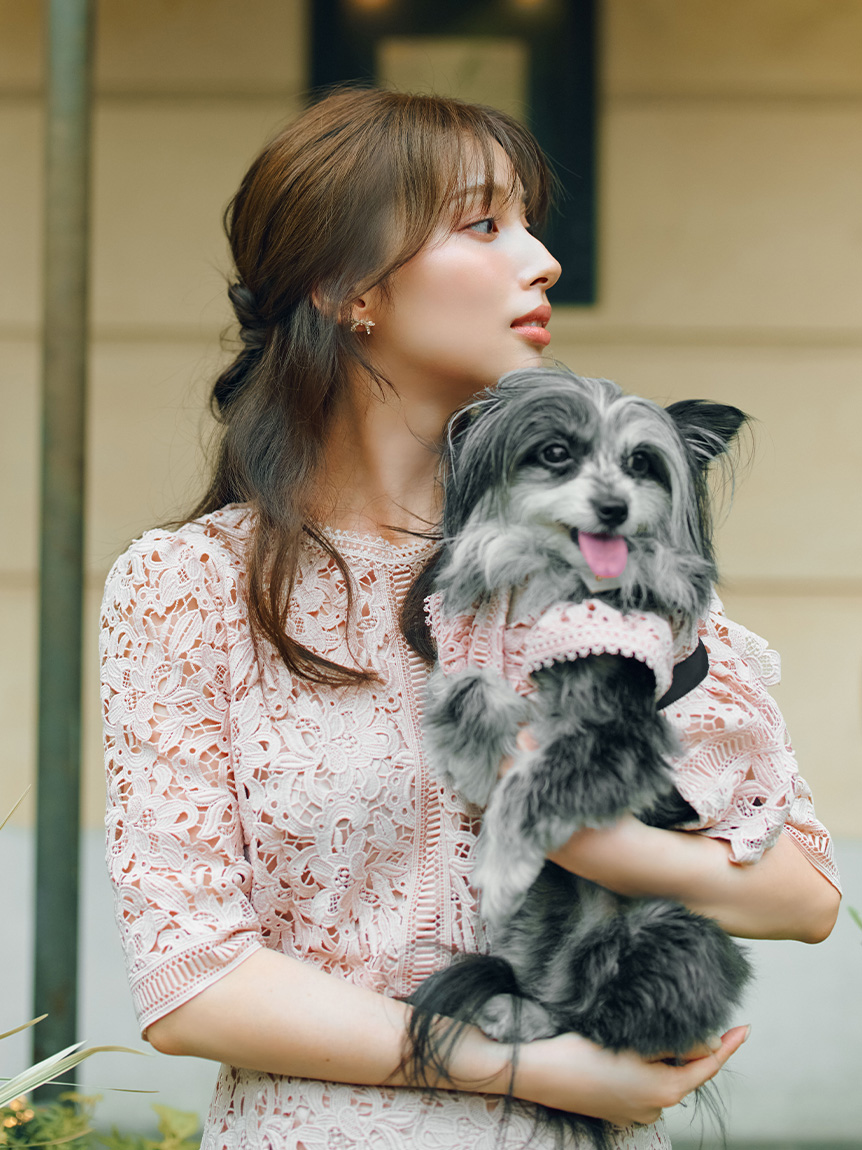 DOG&CAT】レースワンピース(ウェア)｜PET｜CELFORD（セルフォード）の