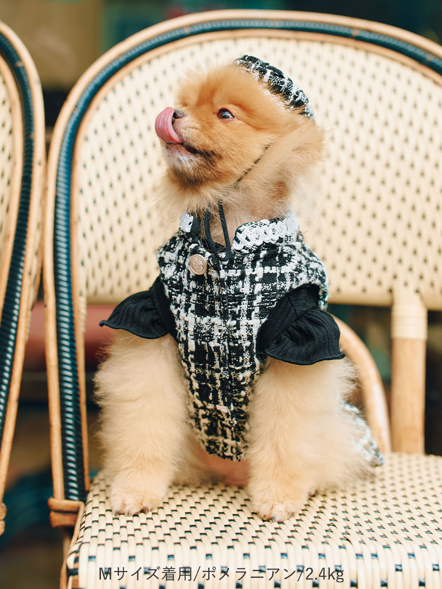 DOG&CAT】ツイードドッキングカットワンピース(ウェア)|PET|CELFORD DOG&CAT】ツイードドッキングカットワンピース(ウェア)|PET|CELFORD