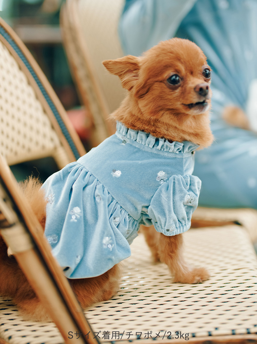 DOG&CAT】小花刺繍ベロアワンピース(ウェア)｜PET｜CELFORD（セル