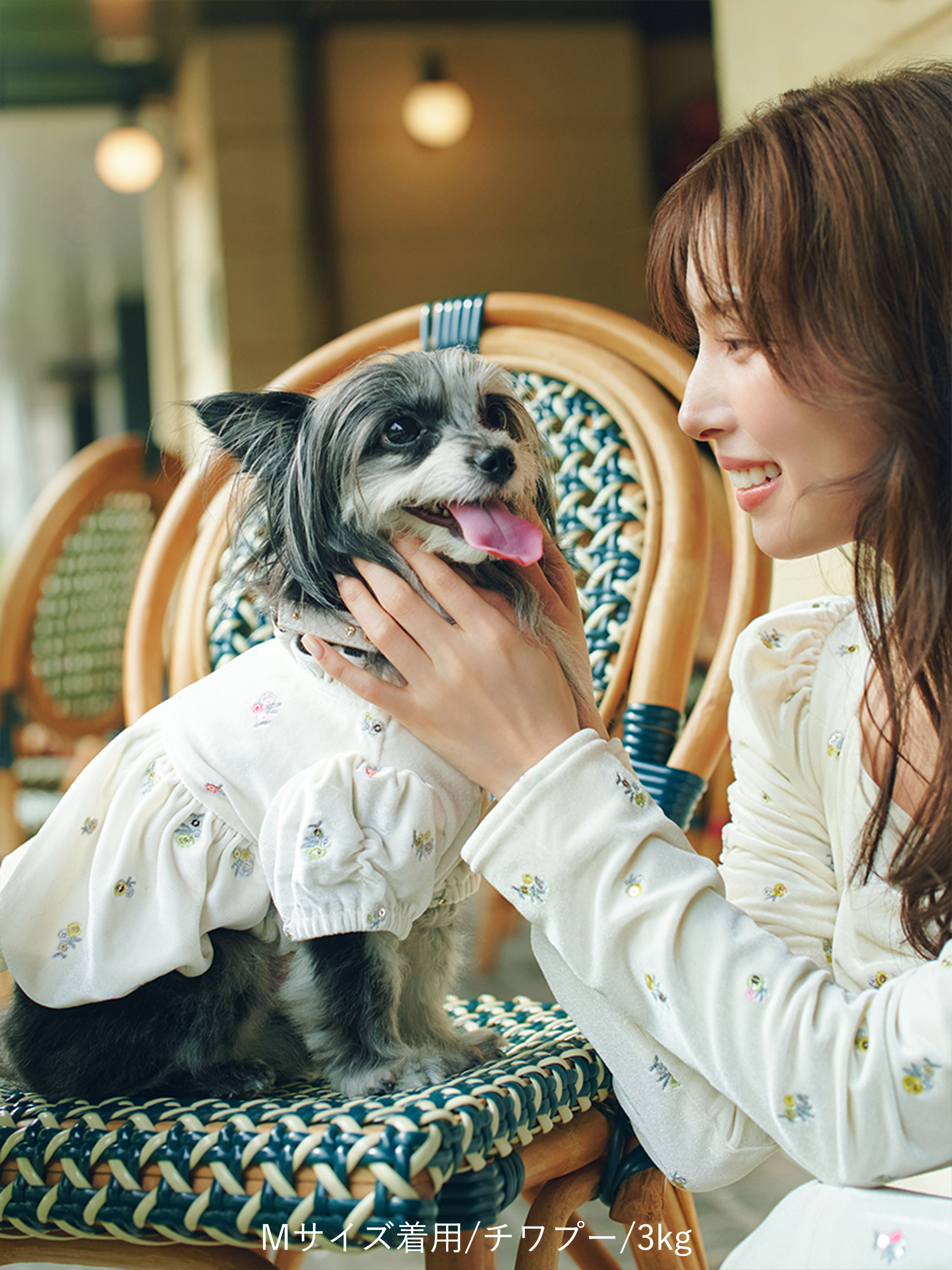 DOG&CAT】小花刺繍ベロアワンピース(ウェア)｜PET｜CELFORD（セル
