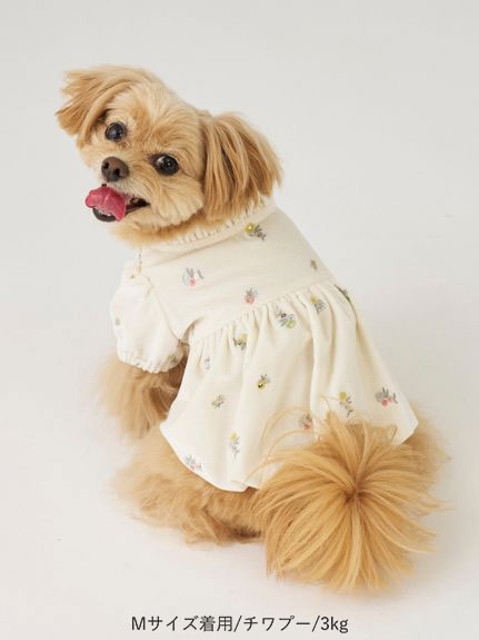 ムチャチャ　犬　花柄　ベスト DOG&CAT】小花刺繍ベロアワンピース(ウェア)｜PET｜CELFORD（セル