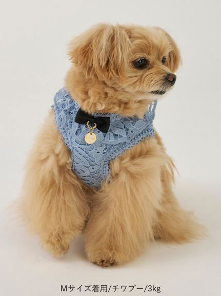 DOG&CAT】レースハーネス(ハーネス・リード・首輪)｜PET｜CELFORD