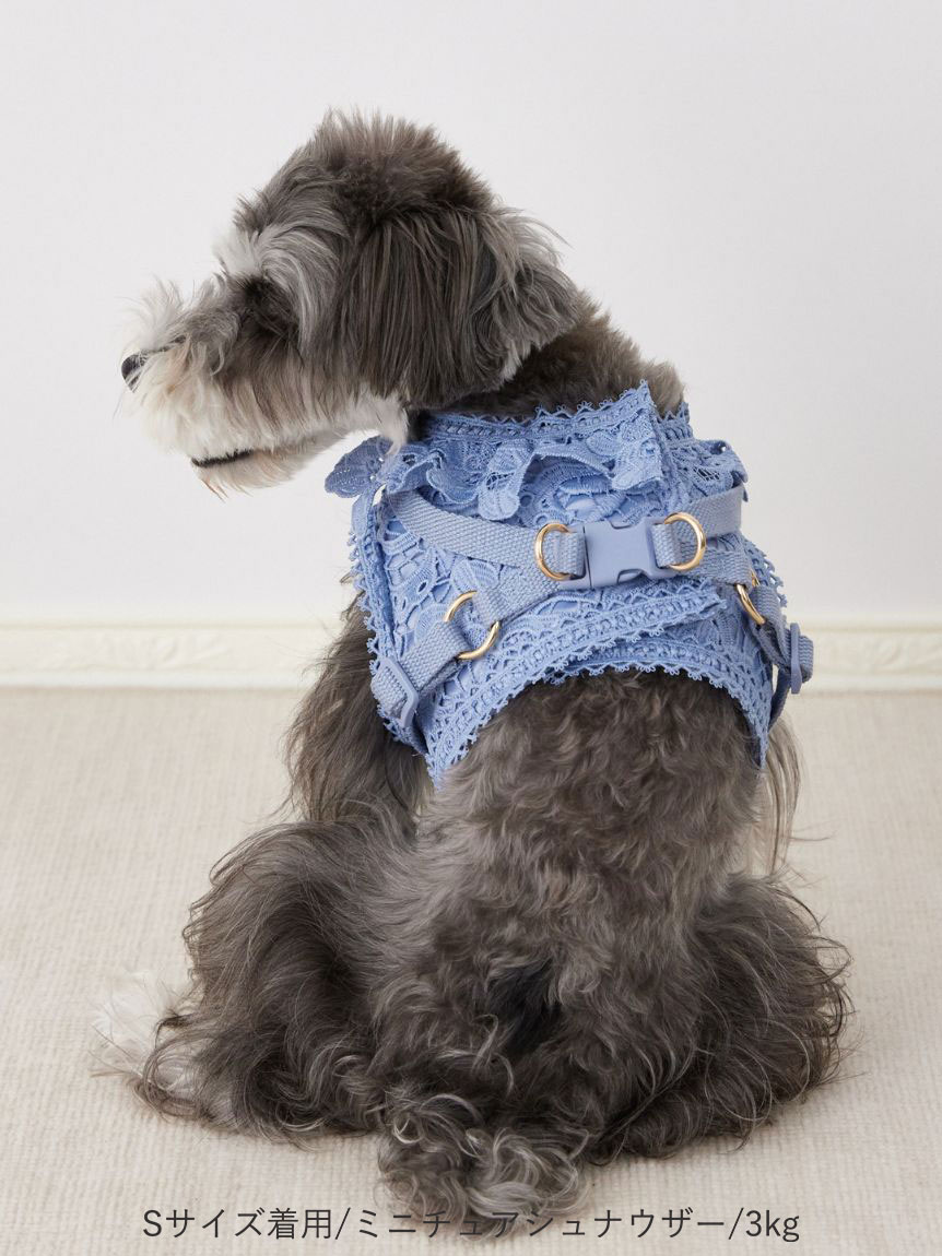 DOG&CAT】レースハーネス(ハーネス・リード・首輪)｜PET｜CELFORD