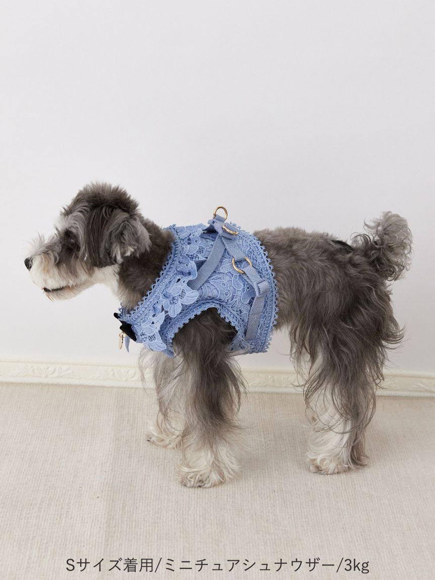 DOG&CAT】レースハーネス(ハーネス・リード・首輪)｜PET｜CELFORD