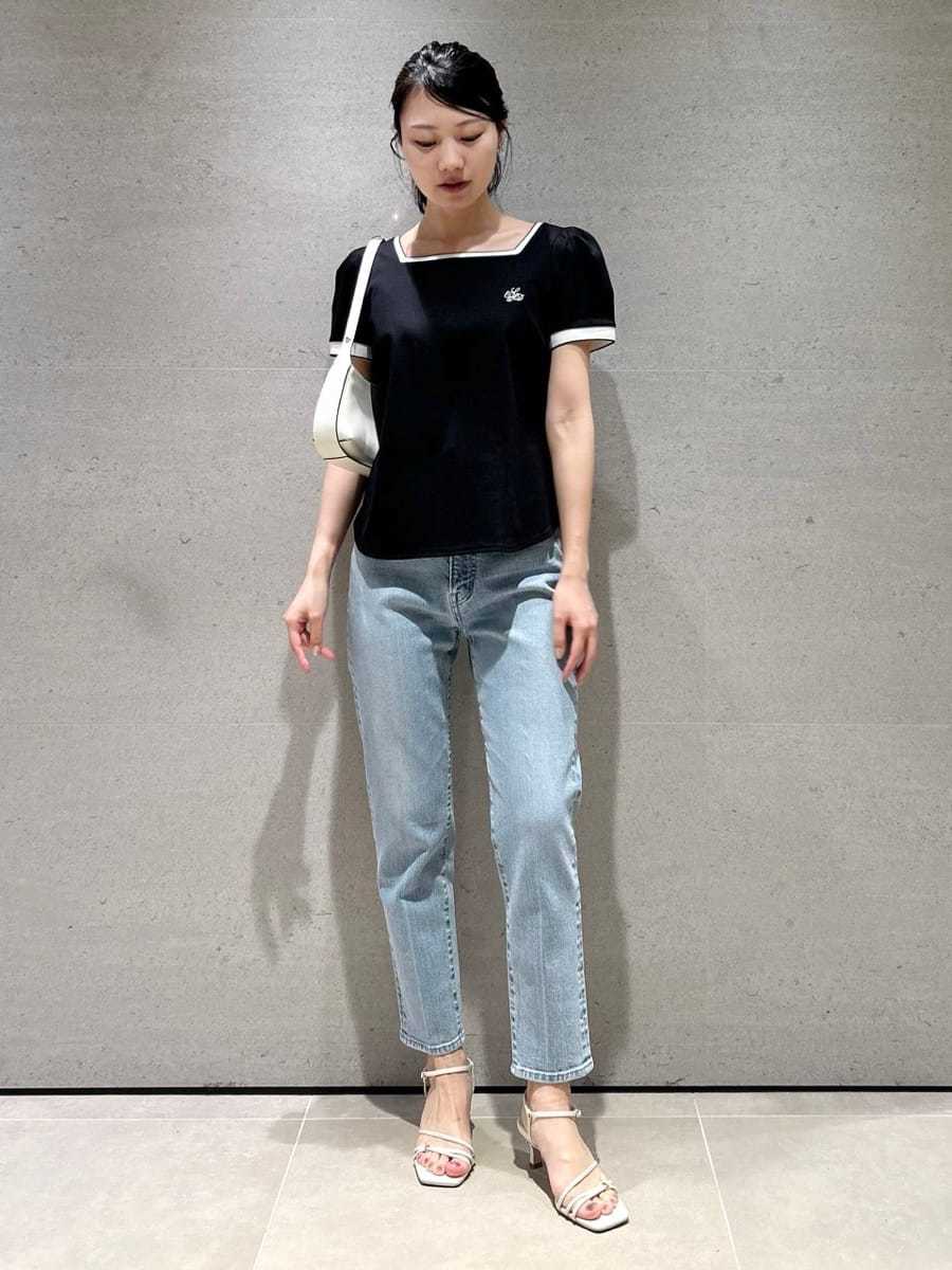 CELFORD グログランTシャツ　超美品 セール】フォトグラフィックプリント Tシャツ（Tシャツ