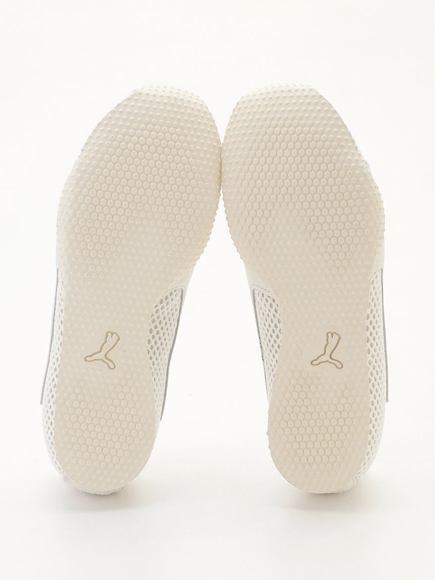 ゴアナクロー ゴールド ハーバリウム 1022-1 ゴアナクロー ゴールド