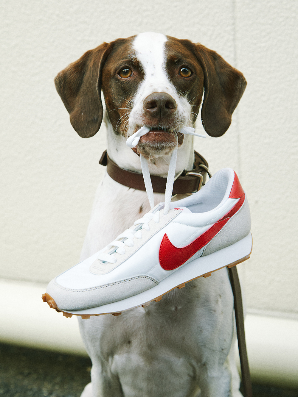 NIKE meets emmi】W NIKE DAYBREAK(スニーカー)｜シューズ｜emmi