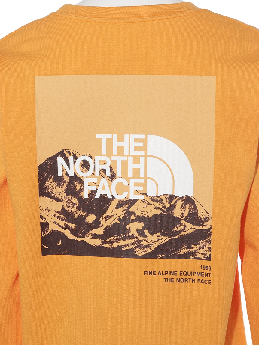 THE NORTH FACE】L/S Graphic Tee(スウェット/パーカー