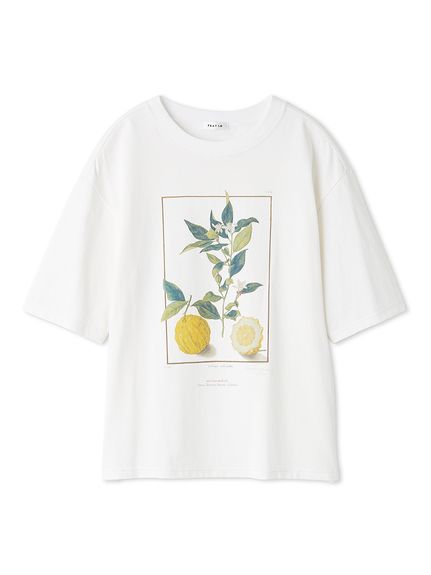 アートプリントTシャツ（カットソー/Tシャツ）｜FRAY I.D