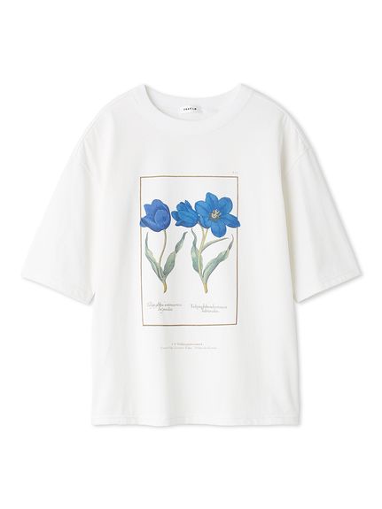 フレイアイディー　アートプリントTシャツ　CGRY フレイ アイディー FRAY I.D アートプリントTシャツ （CGRY