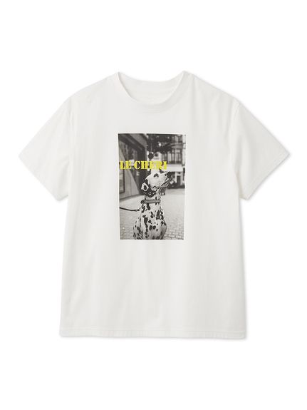 オーバーサイズフォトプリントTシャツ(カットソー)｜トップス｜FRAY